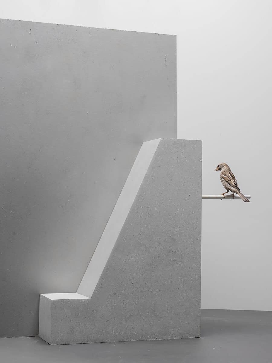 Grijze muur in betonlook met abstracte vorm en een mus op stok | © Hans van Asch