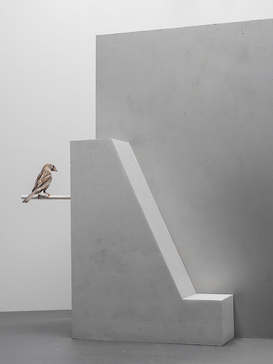 Blinde muur met staartstuk vorm en betonlook | © Hans van Asch