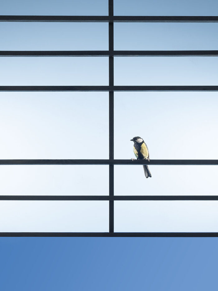 Between the Lines, 2025