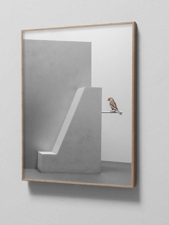Grijze muur in betonlook met abstracte vorm en een mus op stok vogelkunst | © Hans van Asch