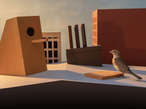maquette van stadsbeeld met dak waar een mus op zit in warme kleuren hans van asch en edward hopper