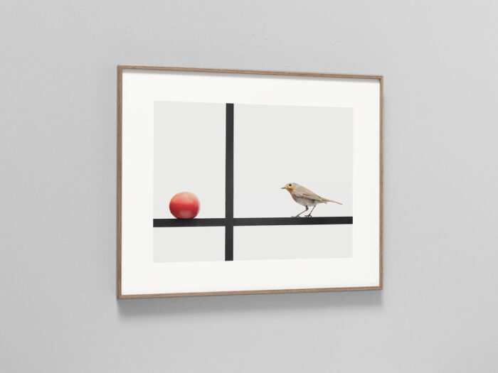 Compositie met een rode tomaat en een roodborstje in een zwart grid gelijkend op Mondriaan en de Stijl | lijst