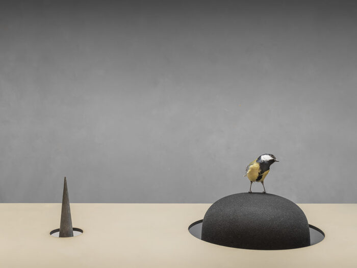 Depth of Field, 2025/ Uit de serie Down to Earth and Up (T)(W)Here
