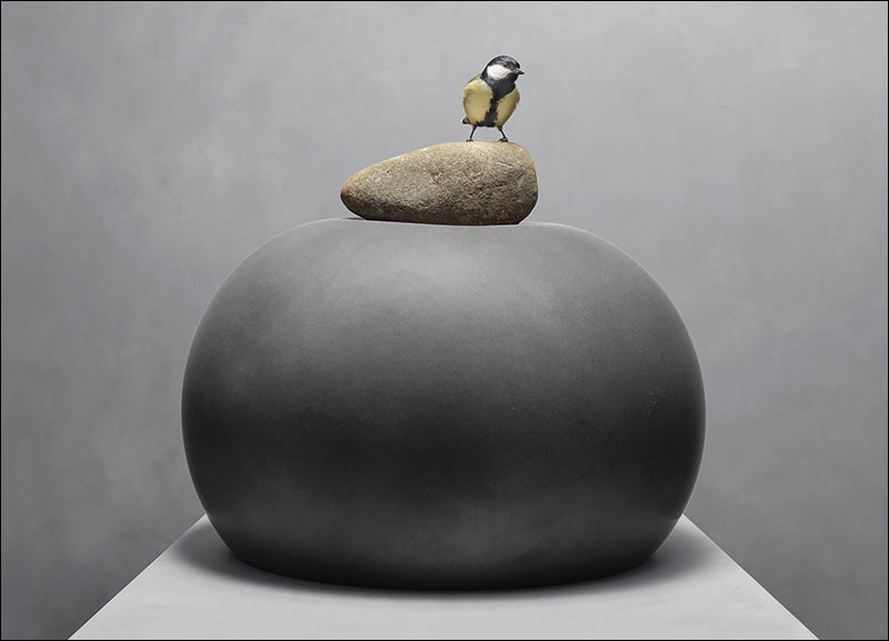 Ein Vogel und ein Stein