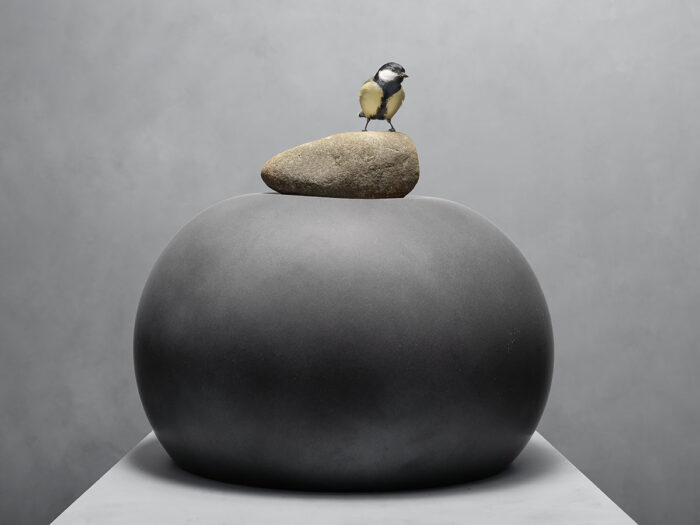 Ein Vogel und ein Stein, 2025/ Uit de serie Down to Earth and Up (T)(W)Here