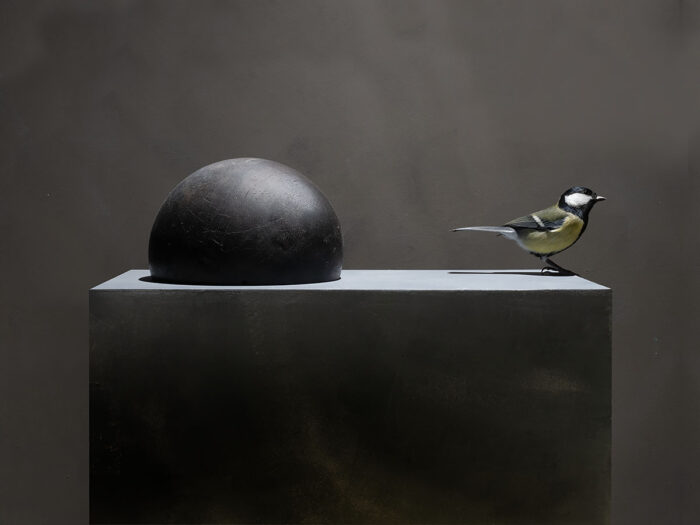 Koppel, 2025/ Uit de serie Down to Earth and Up (T)(W)Here