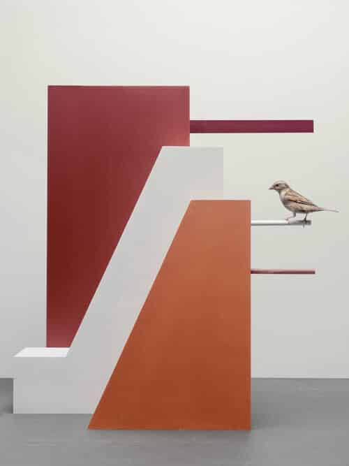 Zij-aanzicht vogelhuizen met uitstekende stokken met mus | © Hans van Asch