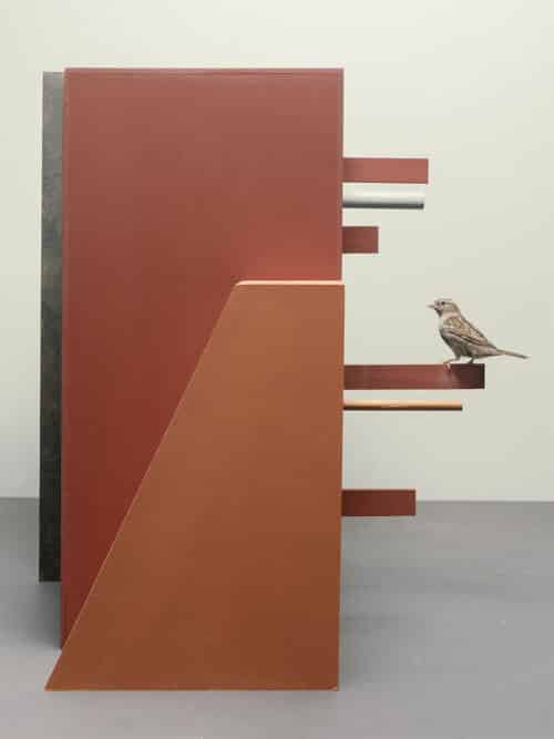 Abstracte oranje vorm met donkerrood vlak en uitstekende stokken met mus vogelkunst | © Hans van Asch