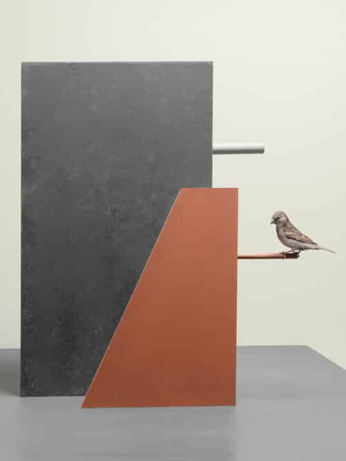 Zij-aanzicht vogelhuizen met uitstekende stokken met mus | © Hans van Asch