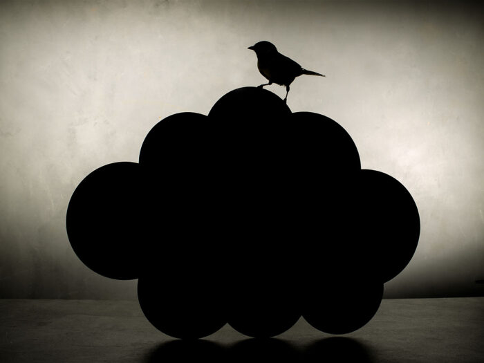 Bird Noir, 2025/ Uit de serie Down to Earth and Up (T)(W)Here