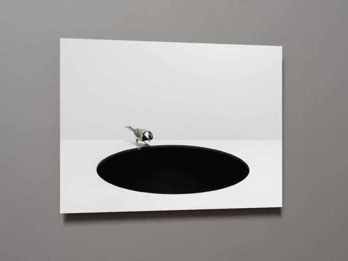 Grrot zwart gat in een grijze omgeving met op de rand een koolmees vogelkunst © Hans van Asch