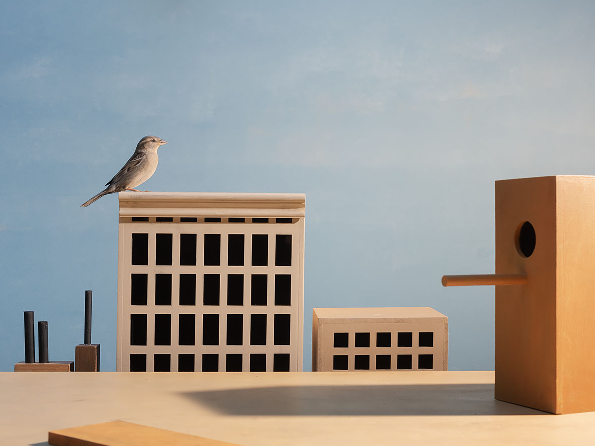 maquette van stadsbeeld met dak waar een mus op zit in warme kleuren hans van asch en edward hopper