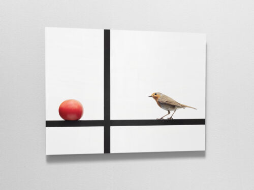 Compositie met een rode tomaat en een roodborstje in een zwart grid gelijkend op Mondriaan en de Stijl | shop