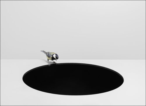 Grrot zwart gat in een grijze omgeving met op de rand een koolmees vogelkunst | ansichtkaarten van Hans van Asch