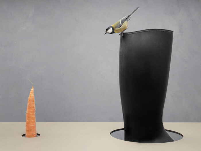 De Kunst van het Wortelschieten, 2025/ Uit de serie Down to Earth and Up (T)(W)Here