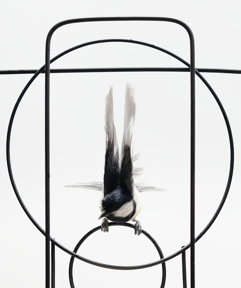 Abstracte Materie, 2025