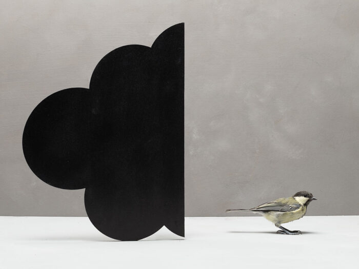 Half Bewolkt, 2025/ Uit de serie Down to Earth and Up (T)(W)Here