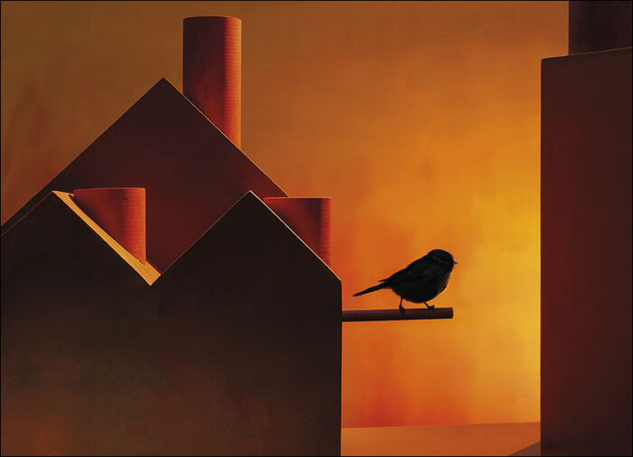 Haute Photography