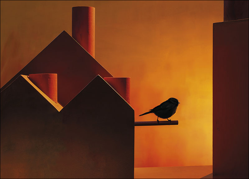 Haute Photography