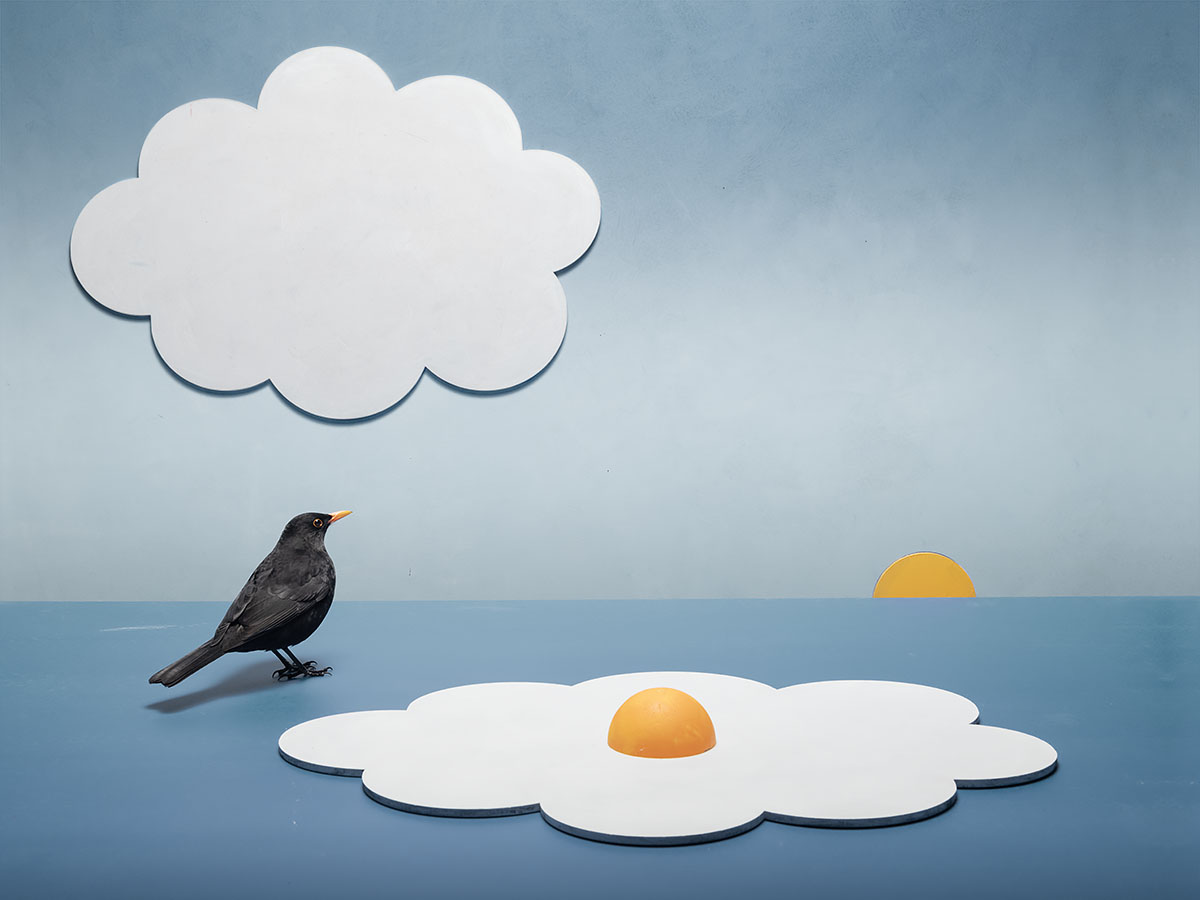 Spiegelbeeld op Zee, 2025